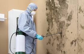  , USA Mold Prevention & Removal Pros